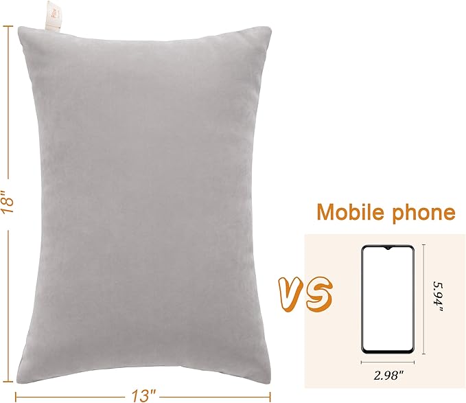 BEDSUM 2 Pack Pillows, 13"x18" Microfiber Pillows for Travel, Pet, Soft and Machine Washable Small Pillows for Neck, Wrist, and Knee Comfort, Light Grey