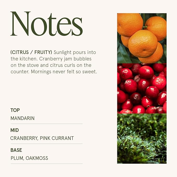 LA JOLIE MUSE Christmas Candle | Ruby Berry Bliss | Mandarin Cranberry & Plum | 10 oz Festive Candle | 55 Hours Clean Burn | Gift for Women & Family